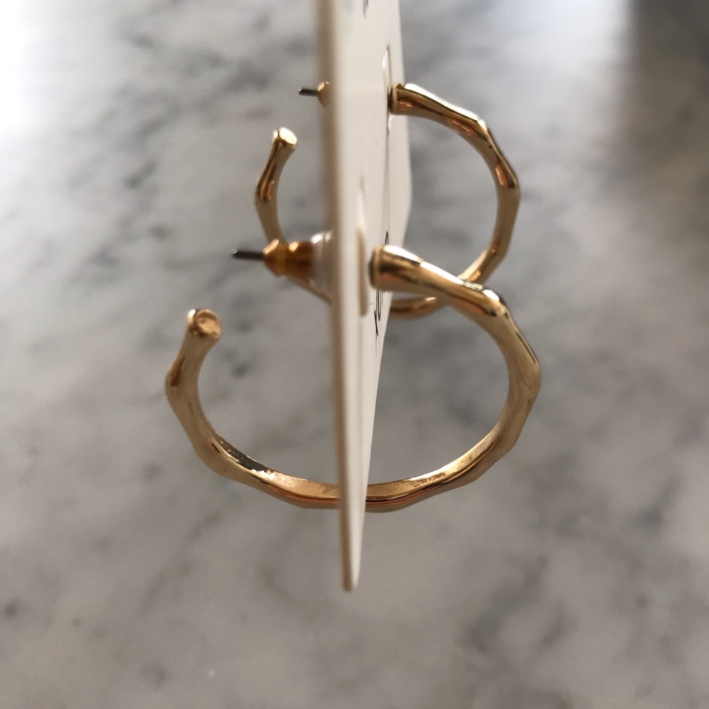 Banana Republic Factory Hoop Earrings